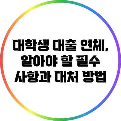 대학생 대출 연체, 알아야 할 필수 사항과 대처 방법
