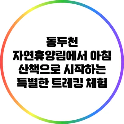 동두천 자연휴양림에서 아침 산책으로 시작하는 특별한 트레킹 체험