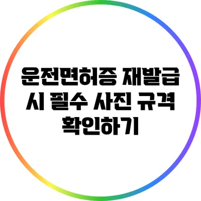 운전면허증 재발급 시 필수 사진 규격 확인하기