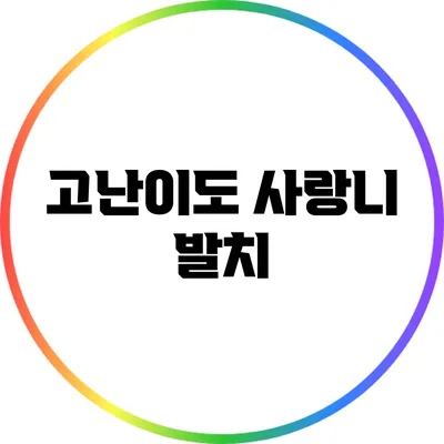 고난이도 사랑니 발치