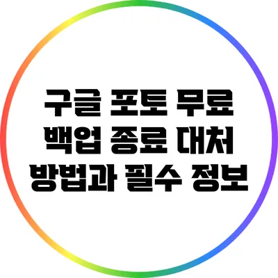 구글 포토 무료 백업 종료: 대처 방법과 필수 정보