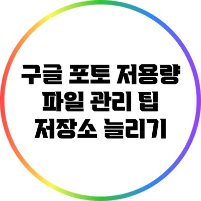 구글 포토 저용량 파일 관리 팁: 저장소 늘리기