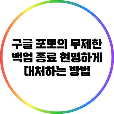 구글 포토의 무제한 백업 종료: 현명하게 대처하는 방법