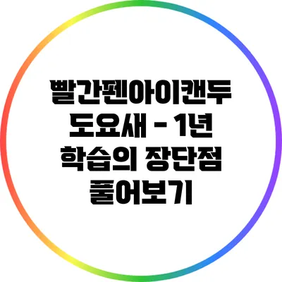 빨간펜아이캔두 도요새 - 1년 학습의 장단점 풀어보기