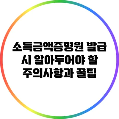 소득금액증명원 발급 시 알아두어야 할 주의사항과 꿀팁