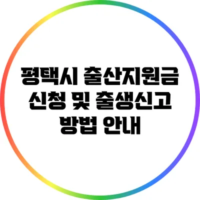 평택시 출산지원금 신청 및 출생신고 방법 안내