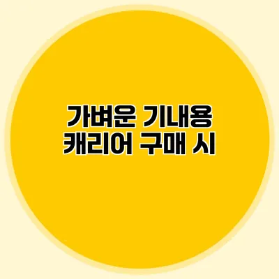 가벼운 기내용 캐리어 구매 시