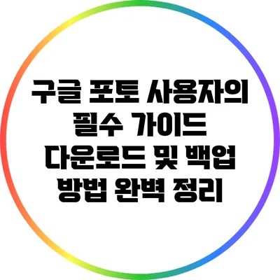 구글 포토 사용자의 필수 가이드: 다운로드 및 백업 방법 완벽 정리