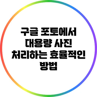 구글 포토에서 대용량 사진 처리하는 효율적인 방법