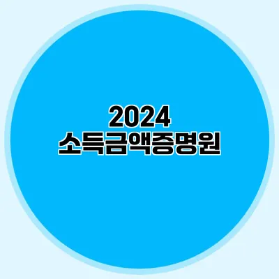 2024 소득금액증명원