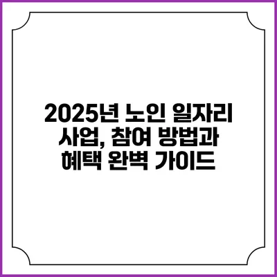 2025년 노인 일자리 사업, 참여 방법과 혜택 완벽 가이드