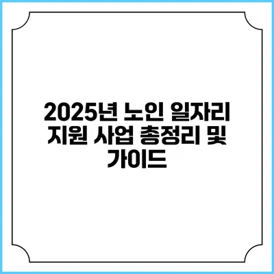 2025년 노인 일자리 지원 사업 총정리 및 가이드