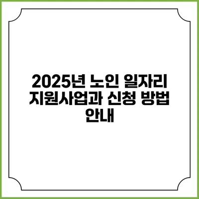 2025년 노인 일자리 지원사업과 신청 방법 안내