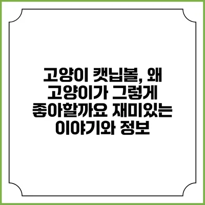 고양이 캣닙볼, 왜 고양이가 그렇게 좋아할까요? 재미있는 이야기와 정보
