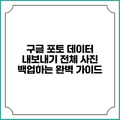 구글 포토 데이터 내보내기: 전체 사진 백업하는 완벽 가이드