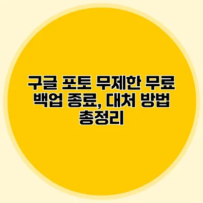 구글 포토 무제한 무료 백업 종료, 대처 방법 총정리