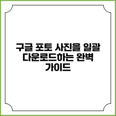구글 포토 사진을 일괄 다운로드하는 완벽 가이드