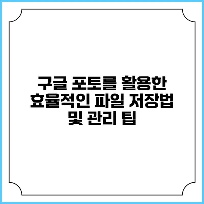 구글 포토를 활용한 효율적인 파일 저장법 및 관리 팁