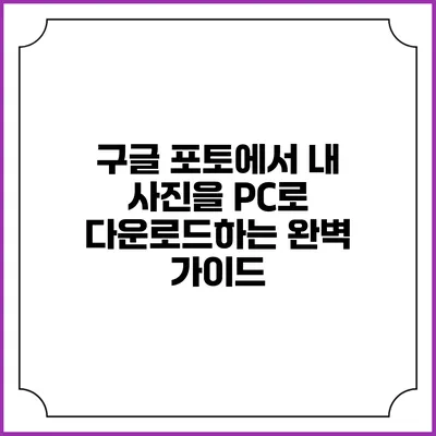 구글 포토에서 내 사진을 PC로 다운로드하는 완벽 가이드