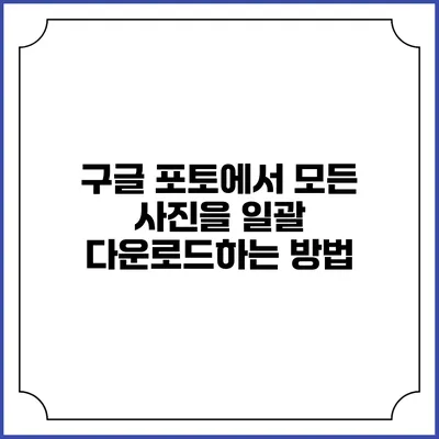 구글 포토에서 모든 사진을 일괄 다운로드하는 방법