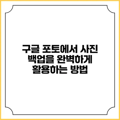 구글 포토에서 사진 백업을 완벽하게 활용하는 방법