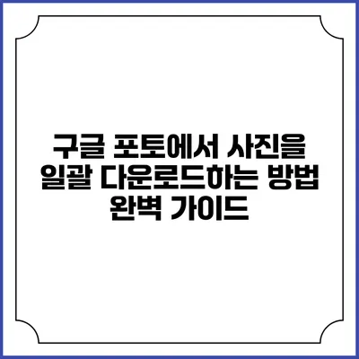 구글 포토에서 사진을 일괄 다운로드하는 방법 완벽 가이드