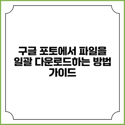 구글 포토에서 파일을 일괄 다운로드하는 방법 가이드