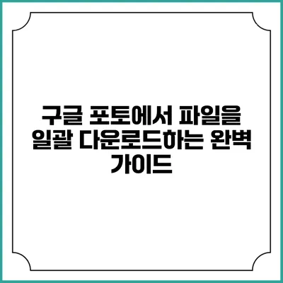 구글 포토에서 파일을 일괄 다운로드하는 완벽 가이드