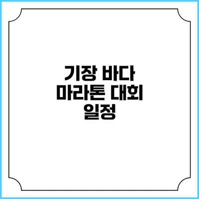 기장 바다 마라톤 대회: 일정