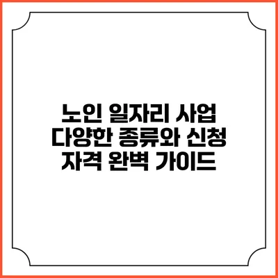 노인 일자리 사업: 다양한 종류와 신청 자격 완벽 가이드
