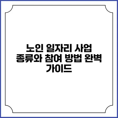 노인 일자리 사업: 종류와 참여 방법 완벽 가이드