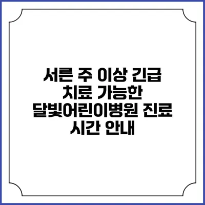 서른 주 이상 긴급 치료 가능한 달빛어린이병원 진료 시간 안내