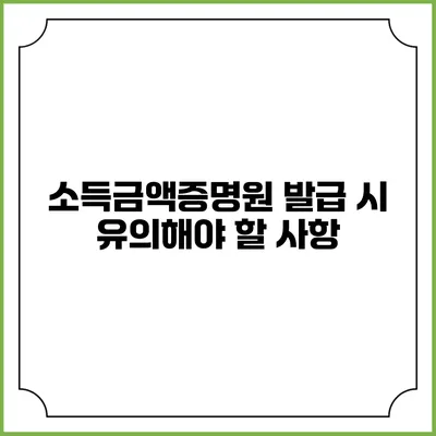 소득금액증명원 발급 시 유의해야 할 사항