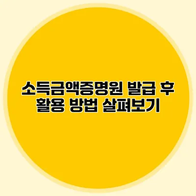 소득금액증명원 발급 후 활용 방법 살펴보기