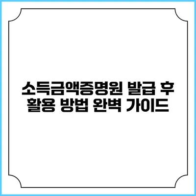 소득금액증명원 발급 후 활용 방법 완벽 가이드