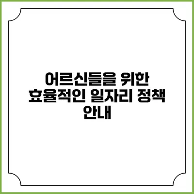 어르신들을 위한 효율적인 일자리 정책 안내