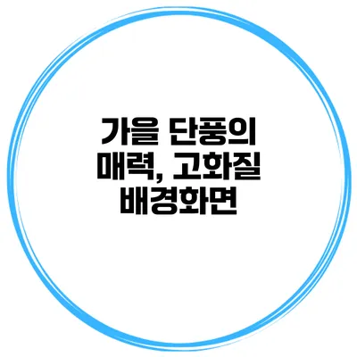 가을 단풍의 매력, 고화질 배경화면
