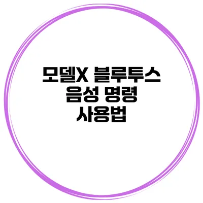 모델X 블루투스 음성 명령 사용법