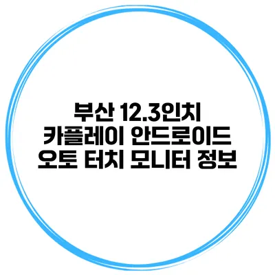 부산 12.3인치 카플레이 안드로이드 오토 터치 모니터 정보